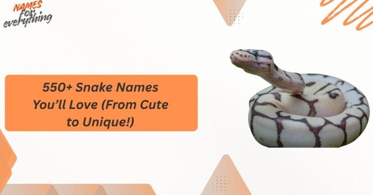 Snake Names