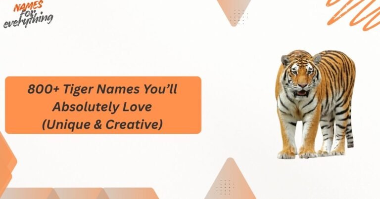 Tiger Names