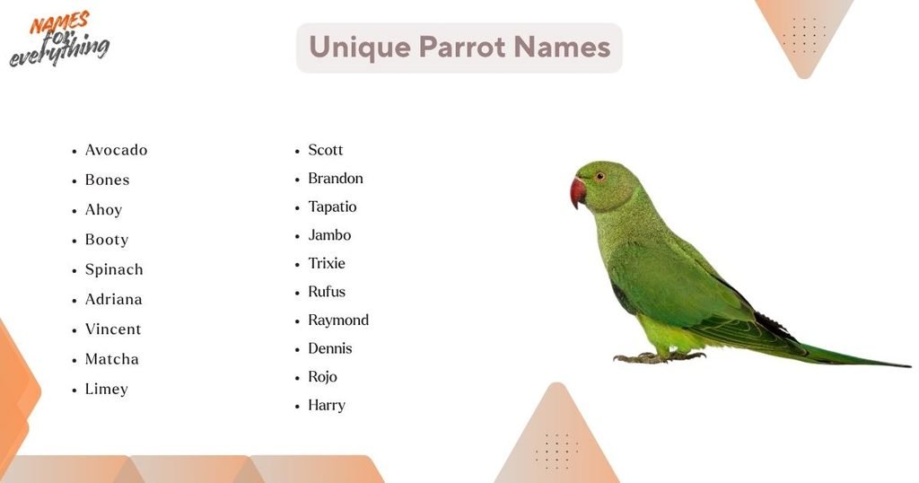Unique Parrot Names