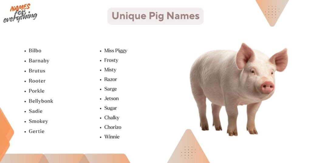 Unique Pig Names