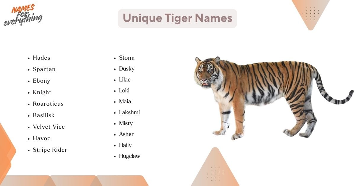 Unique Tiger Names