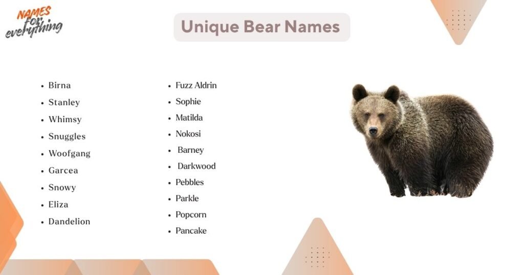 Unique bear names