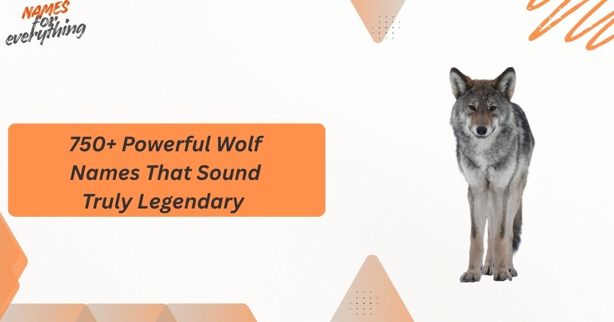 Wolf Names