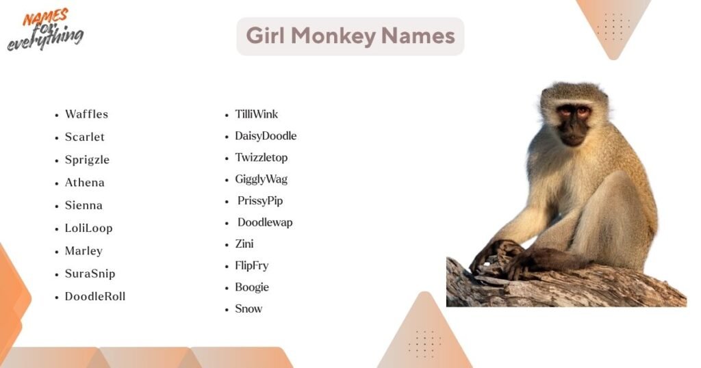 female monkey names