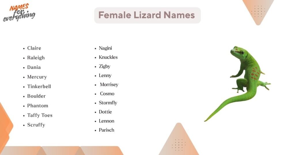 girl lizard names