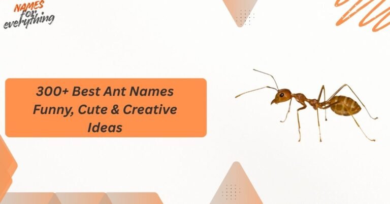Ant Names