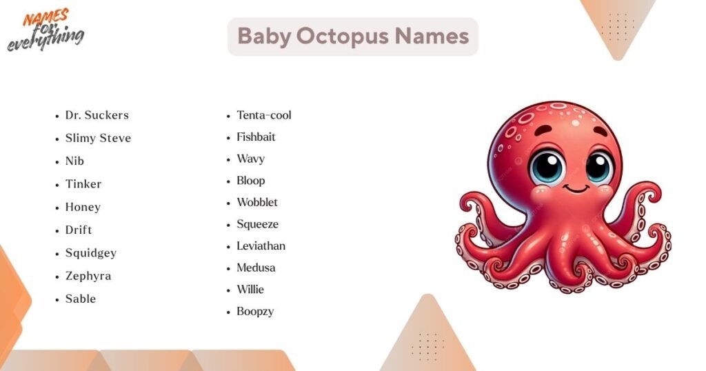 Baby Octopus Names