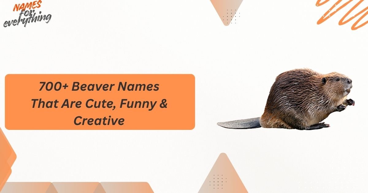 Beaver Names