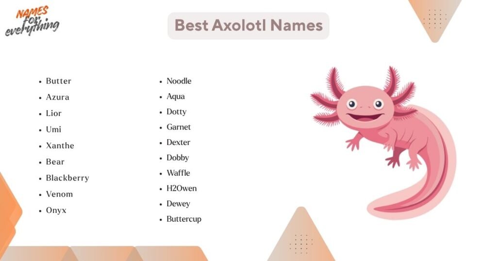 Best Axolotl Names