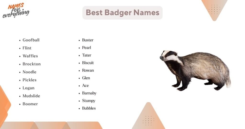 Best Badger Names