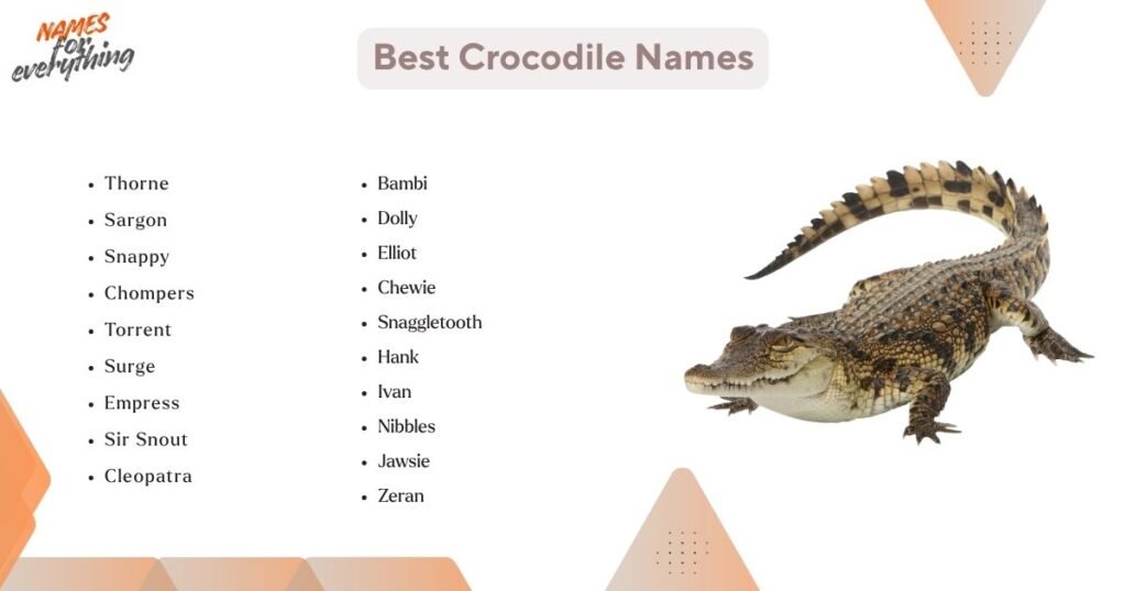 Best Crocodile Names