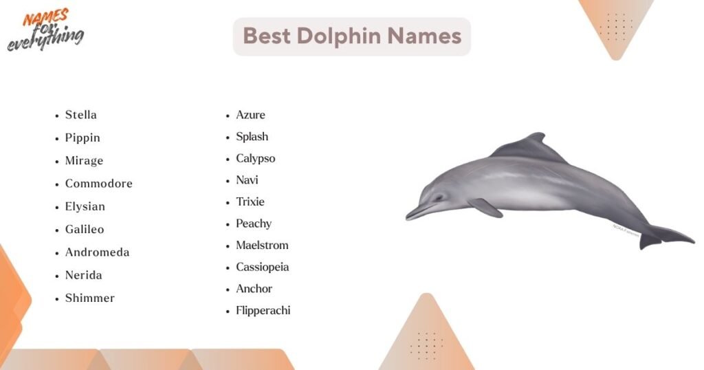Best Dolphin Names