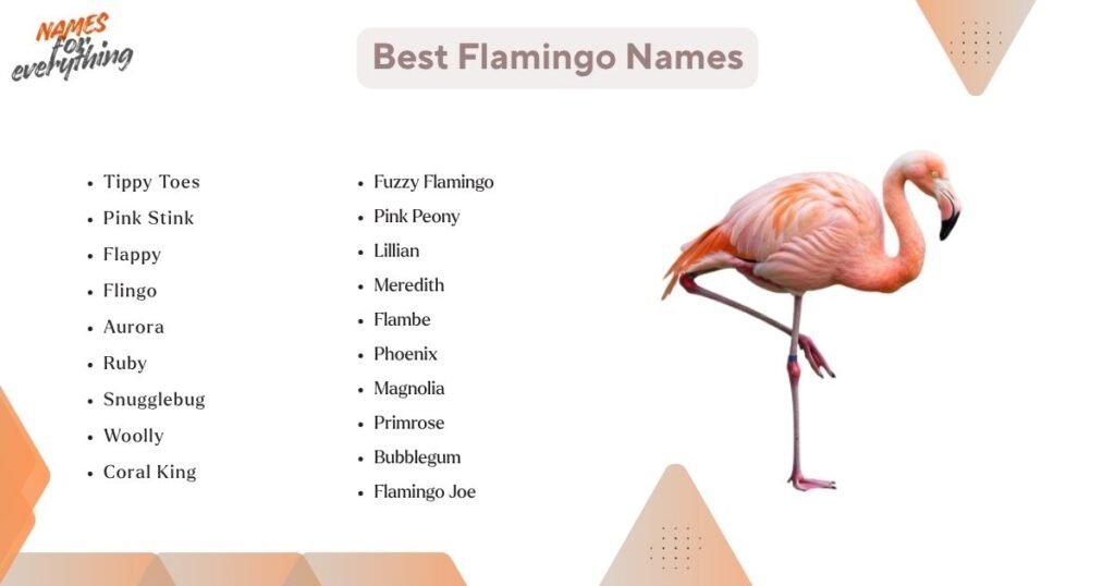 Best Flamingo Names