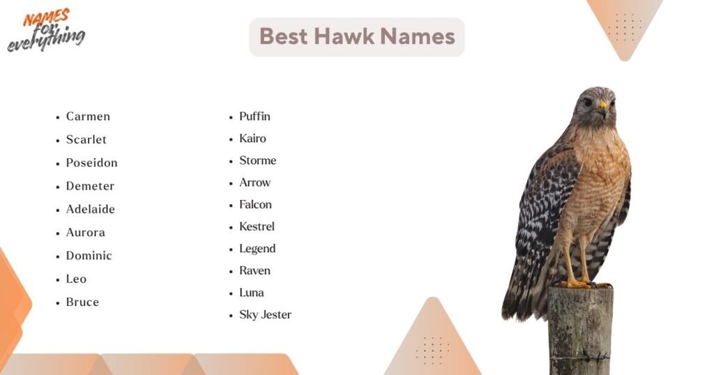 Best Hawk Names