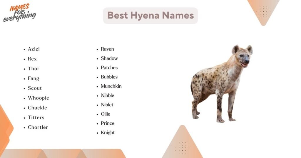 Best Hyena Names