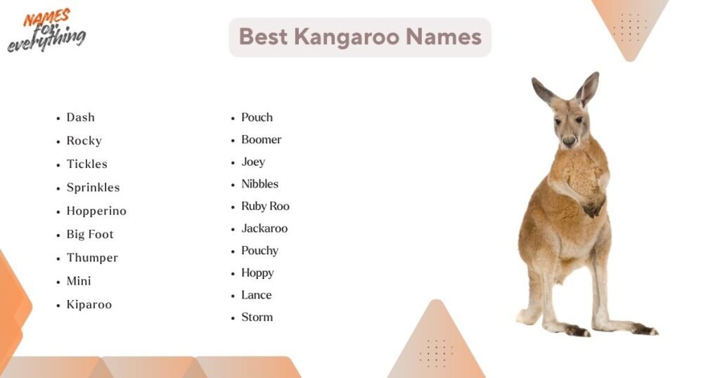 Best Kangaroo Names