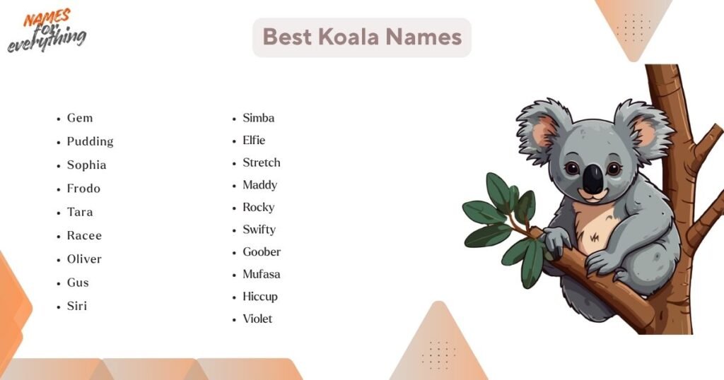 Best Koala Names