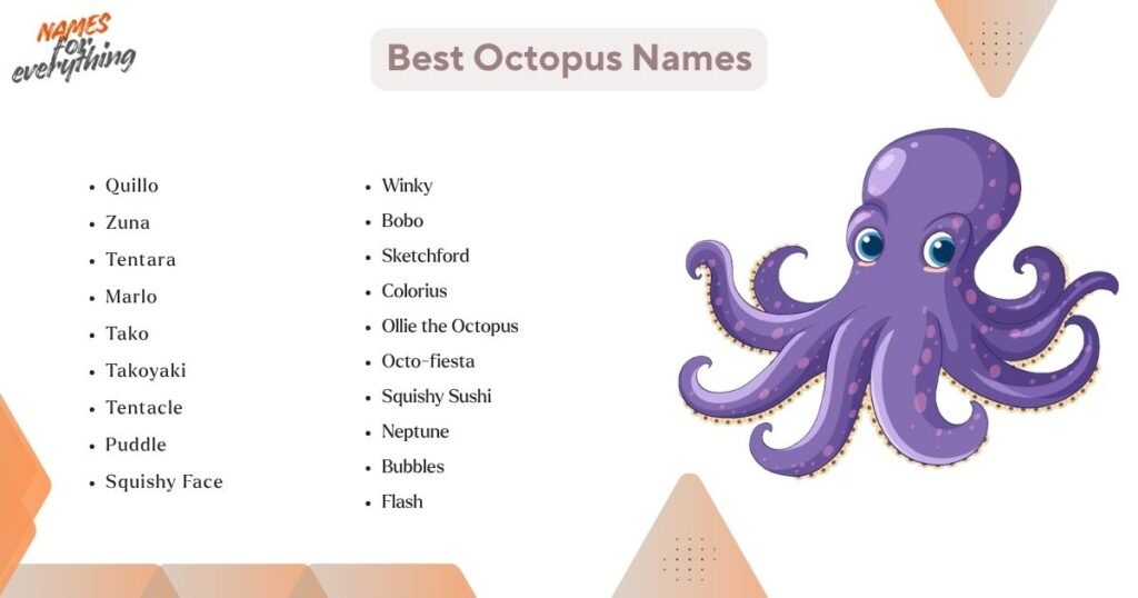 Best Octopus Names
