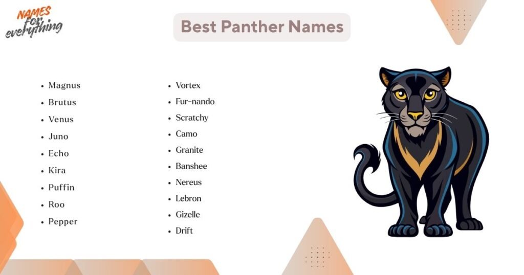 Best Panther Names