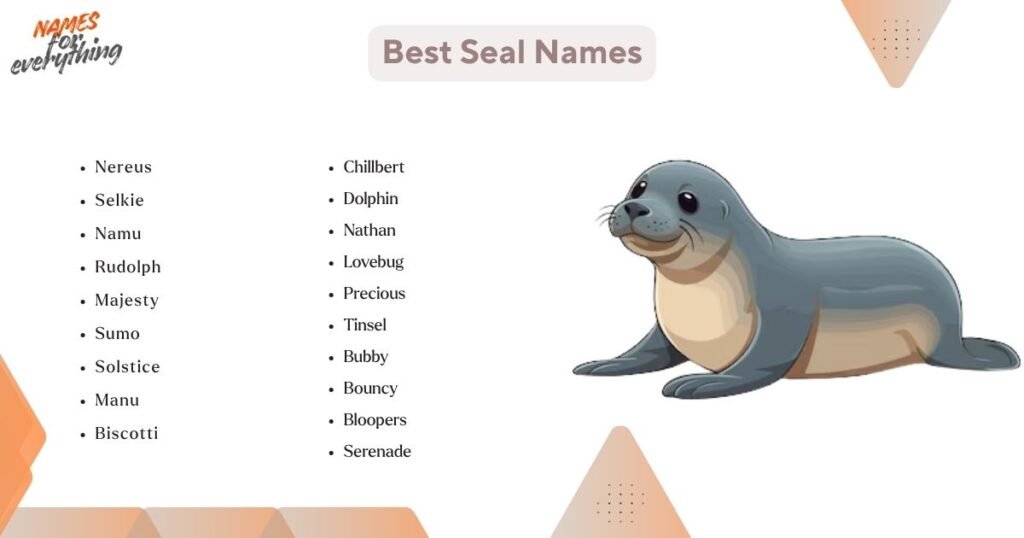 Best Seal Names