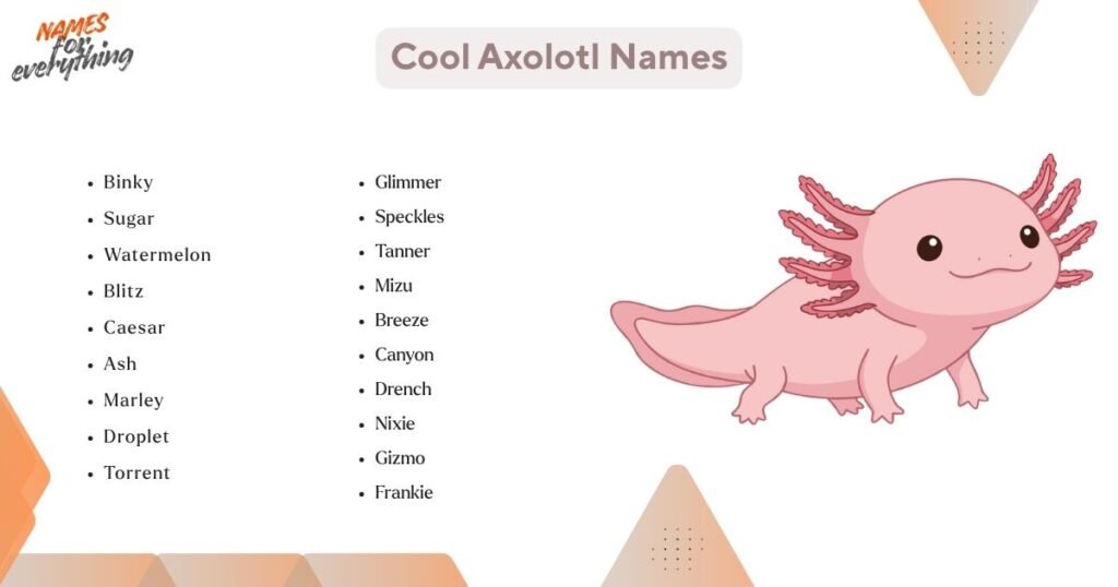 Cool Axolotl Names