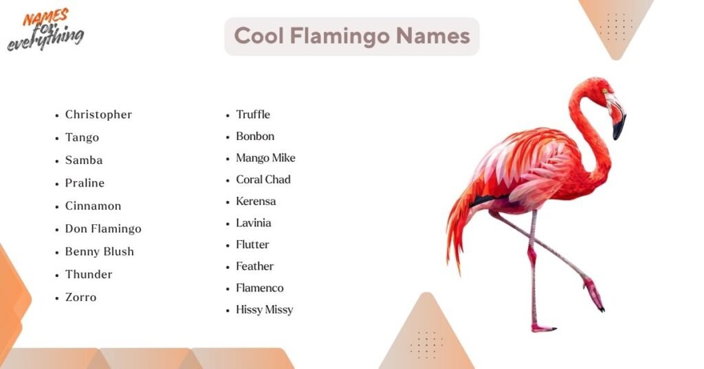 Cool Flamingo Names