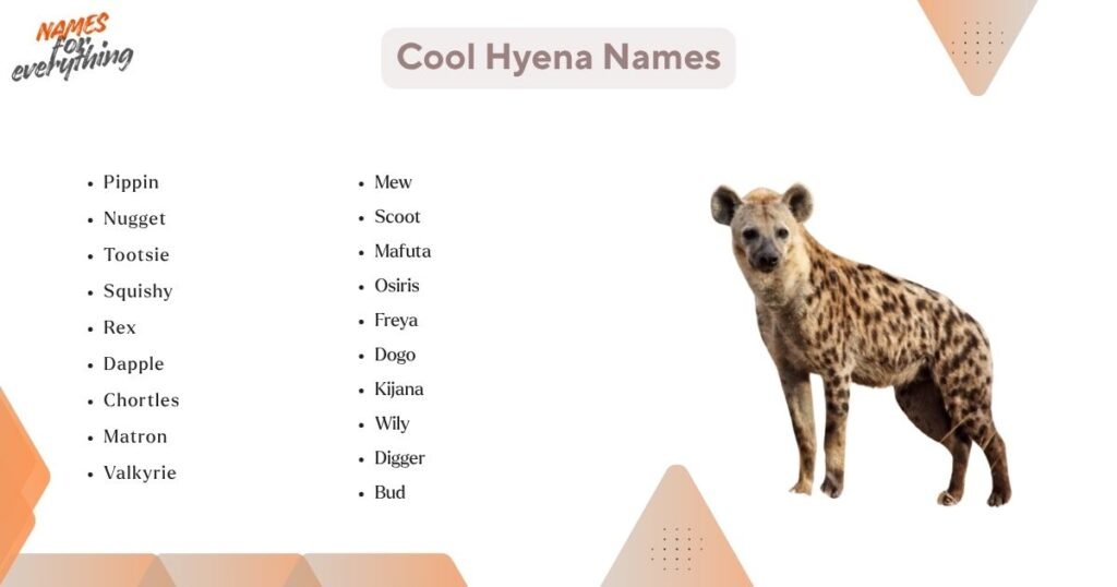 Cool Hyena Names