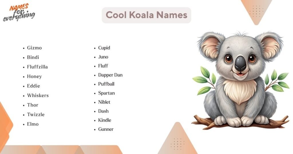 Cool Koala Names