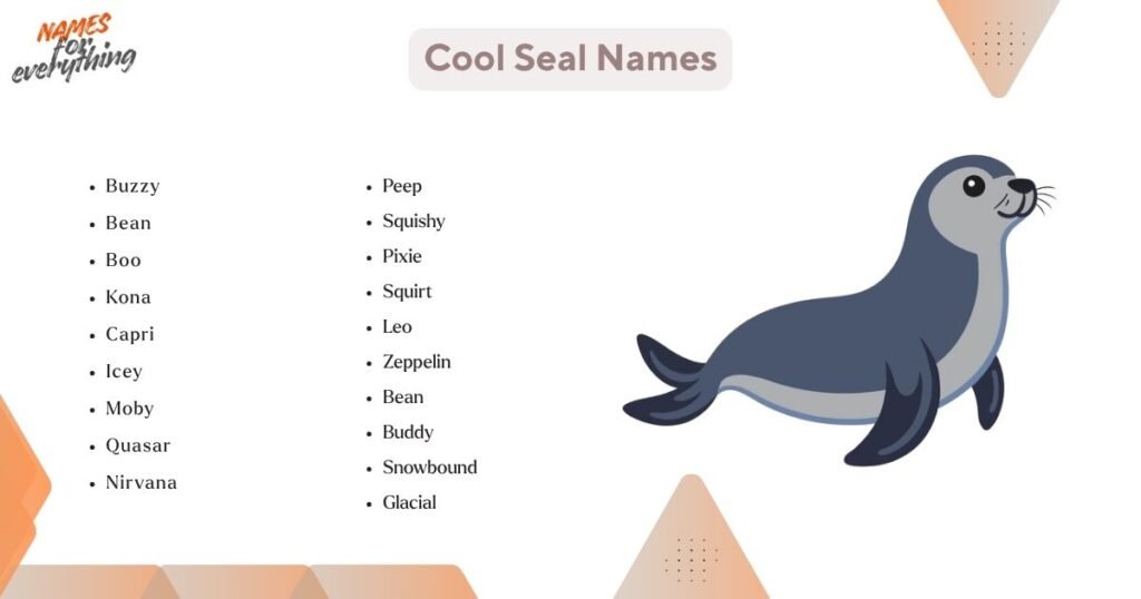 Cool Seal Names