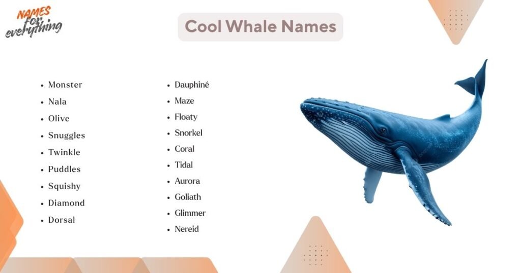 Cool Whale Names