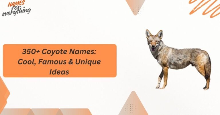 Coyote Names
