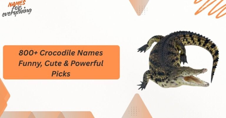 Crocodile Names