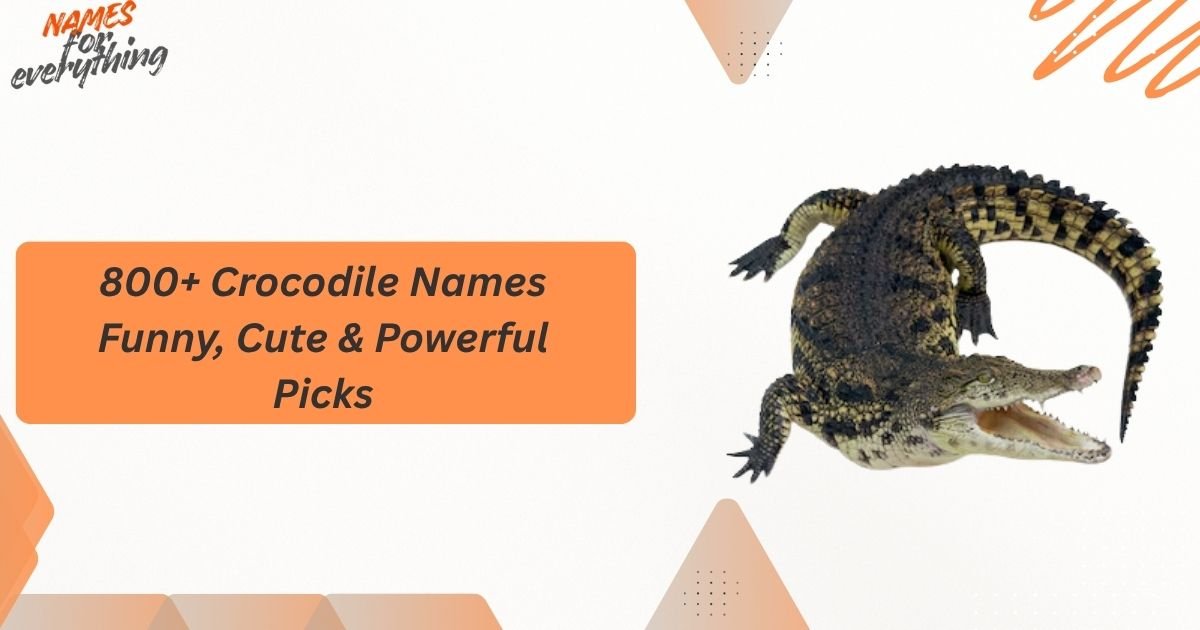 Crocodile Names