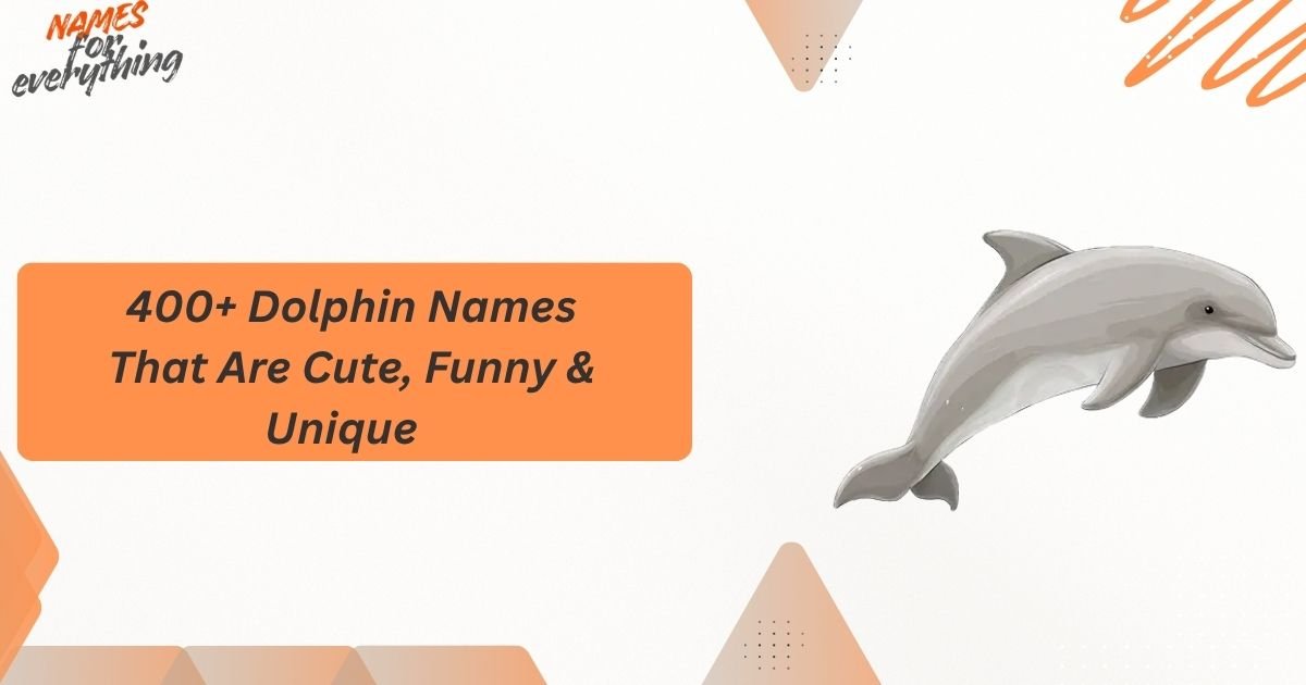 Dolphin Names