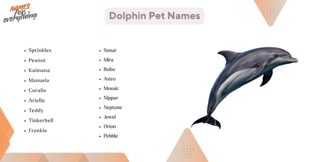 Dolphin Pet Names
