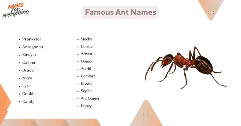 Famous Ant Names