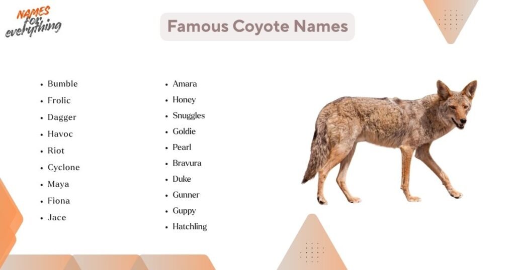 Famous Coyote Names