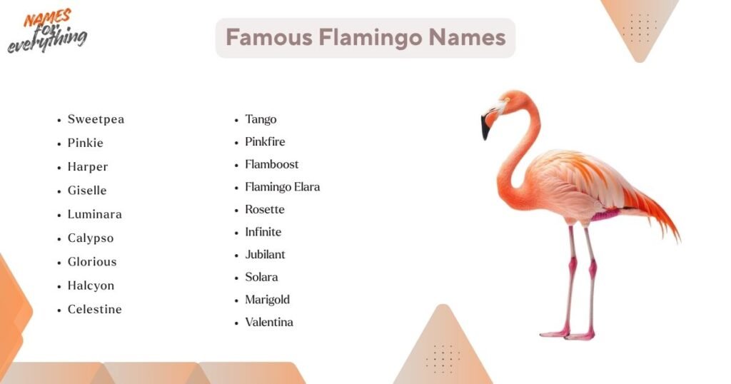 Famous Flamingo Names