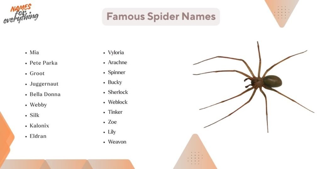 Famous Spider Names