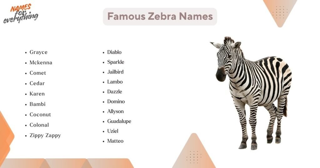 Famous Zebra Names