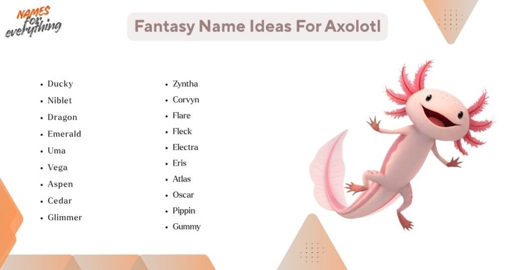 Fantasy Name Ideas For Axolotl