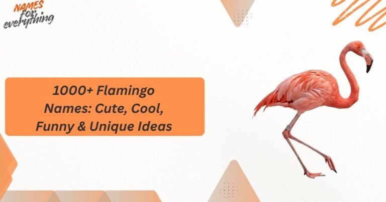 Flamingo Names