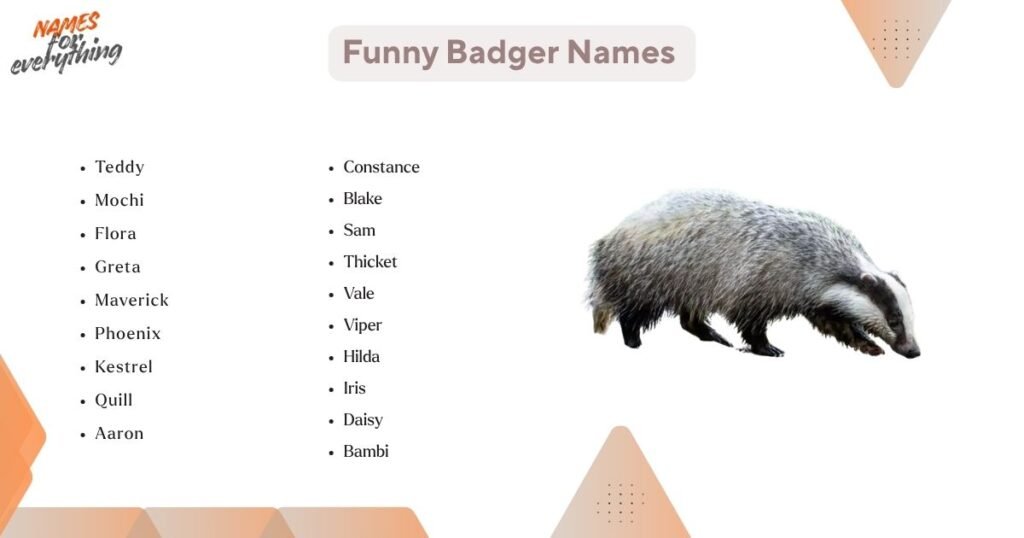 Funny Badger Names 