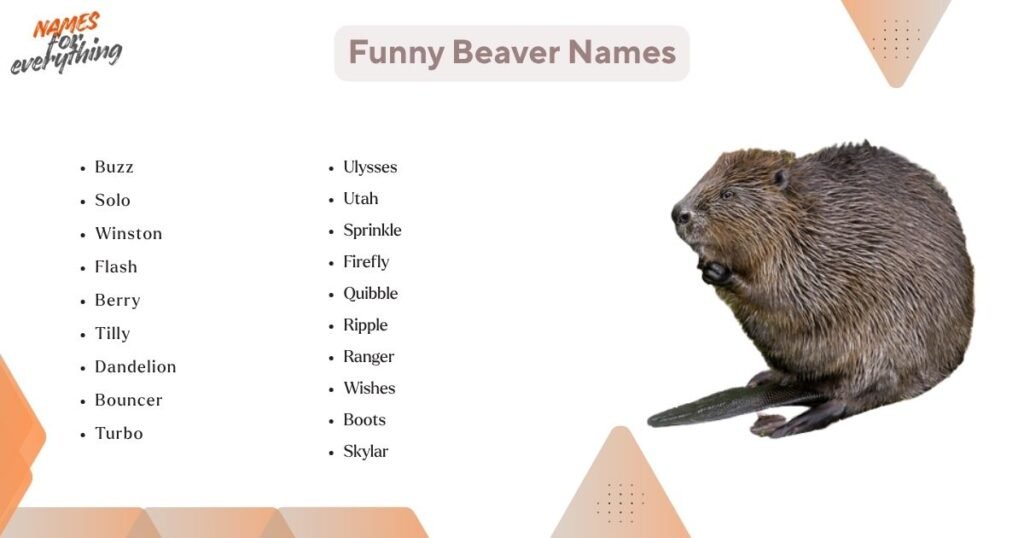 Funny Beaver Names