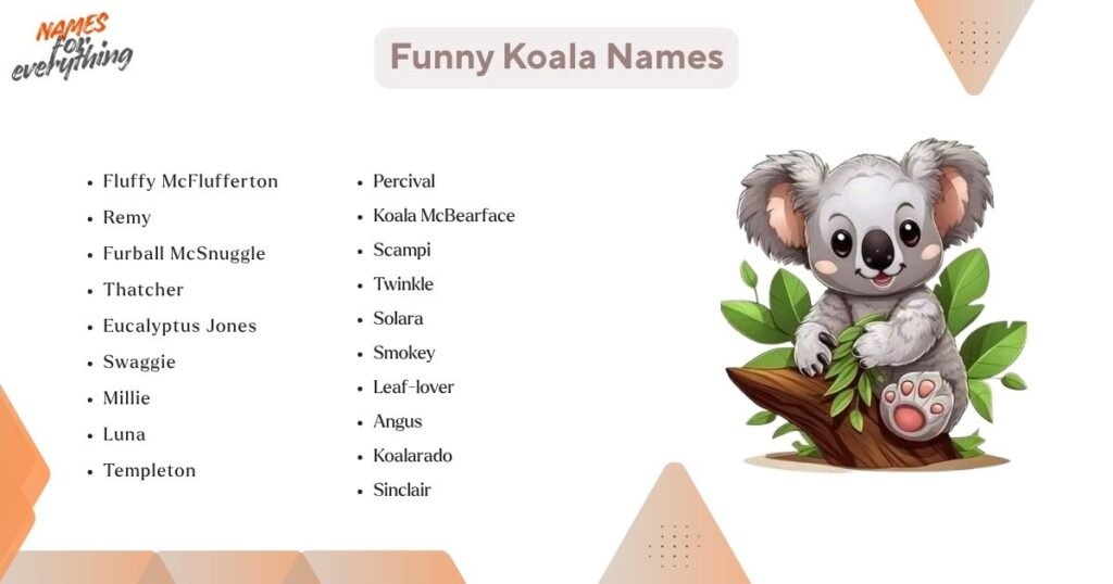 Funny Koala Names