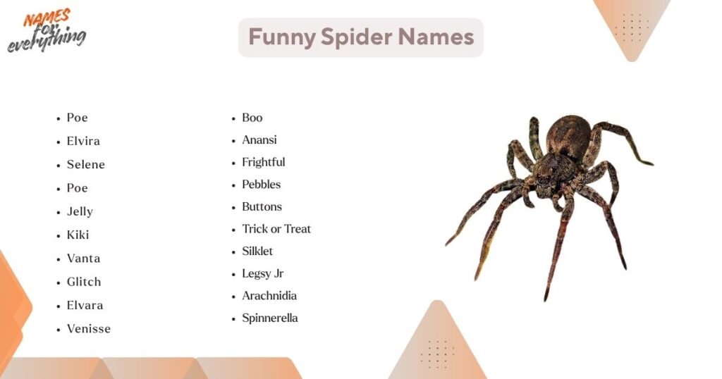 Funny Spider Names