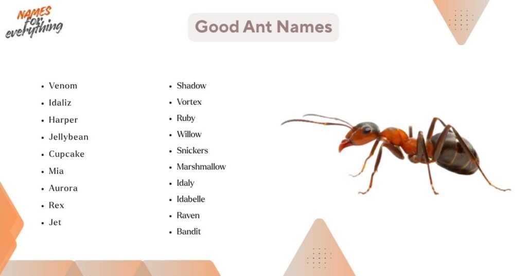 Good Ant Names