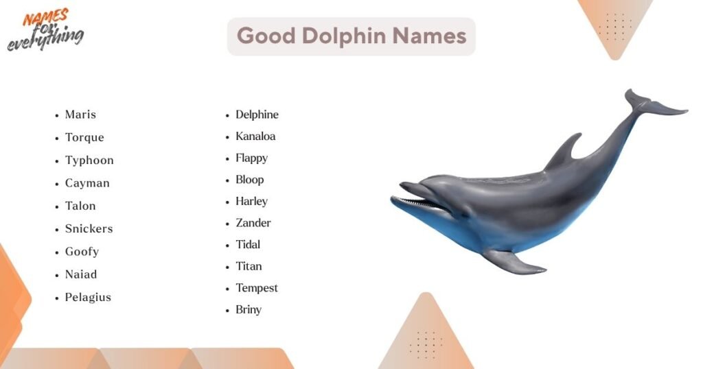Good Dolphin Names