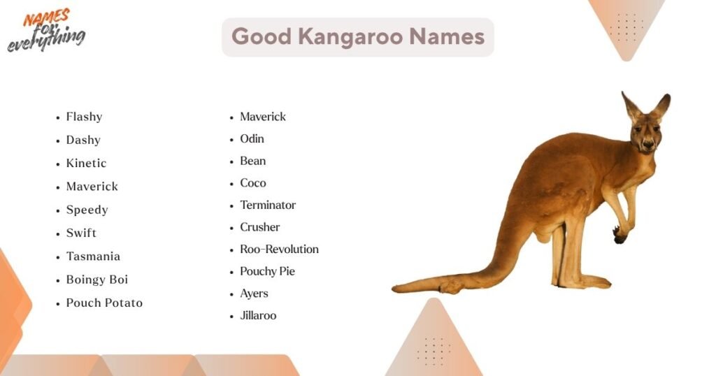 Good Kangaroo Names