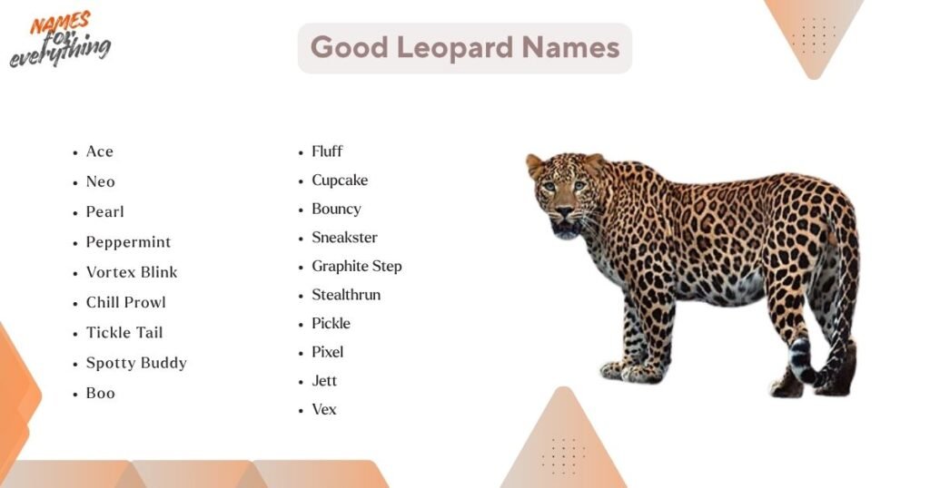 Good Leopard Names